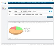 SiDiary Online Piechart SiDiary Online Piechart